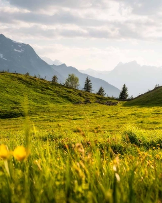 Urner Berglandschaft mit Sicht auf Bergkulisse, Heidmannegg